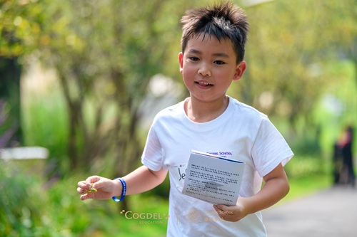 成都市大邑康禮外國(guó)語(yǔ)學(xué)校學(xué)費(fèi)