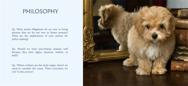 新英才學(xué)子論文競賽