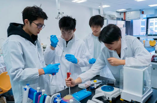 (yng)PSTEMо2025ȌW(xu)g(sh)ɹl(f)