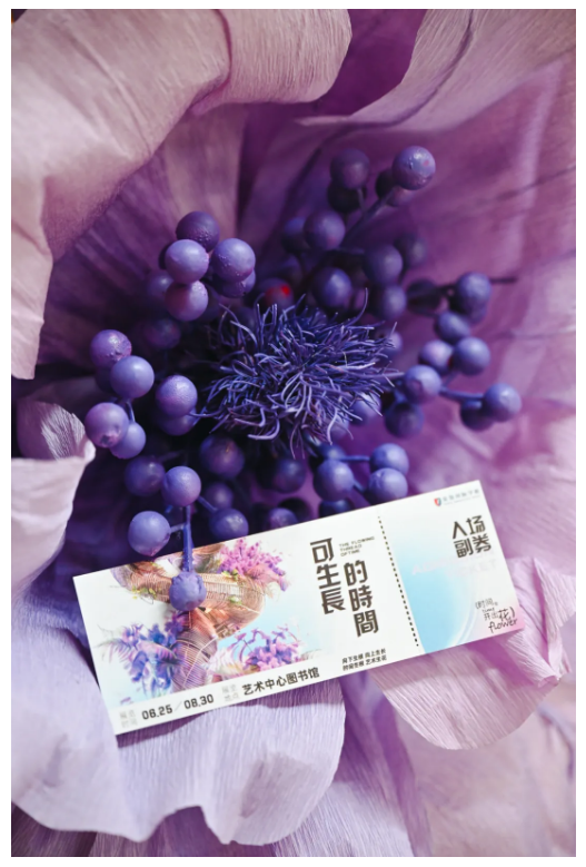 英領(lǐng)藝術(shù)中心開放日