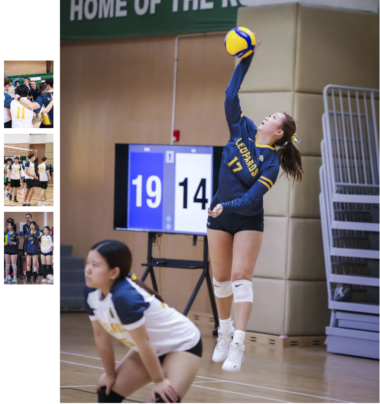 北京海嘉女排三連冠