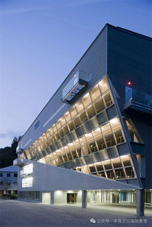 中育貝拉藝術(shù)升學(xué)路徑