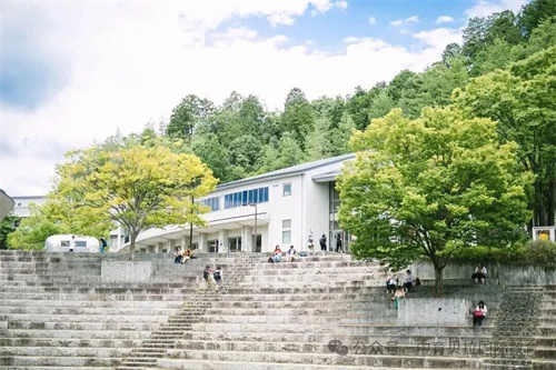 中育貝拉藝術(shù)升學(xué)路徑