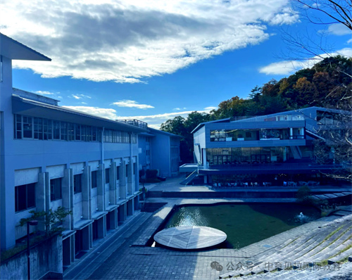 中育貝拉藝術(shù)升學(xué)路徑