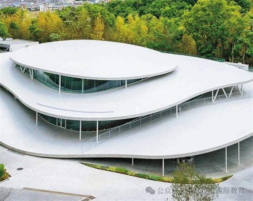 中育貝拉藝術(shù)升學(xué)路徑