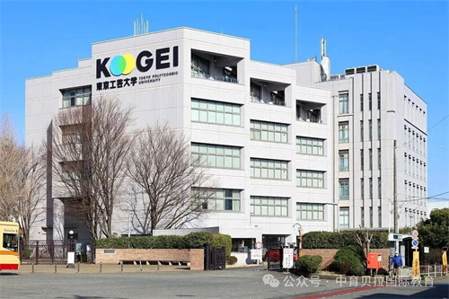 中育貝拉藝術(shù)升學(xué)路徑