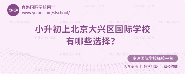 2026年小升初上北京大興區(qū)國際學(xué)校有哪些選擇