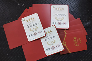 張家口未來學校學子在國家級書畫大展中斬獲多項大獎！